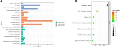 The genetic characterization of germplasm and identification of the litter size trait associated candidate genes in Dexin mutton and fine-wool sheep